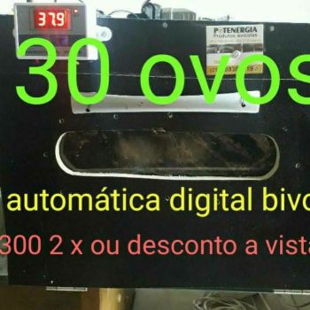 Chocadeira 30 ovos automática digital . Guia de empresas e serviços