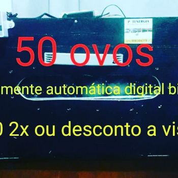 Chocadeira 50 ovos automática digital . Guia de empresas e serviços