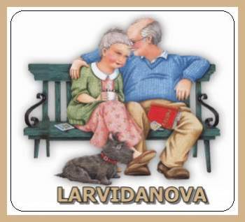 Lar vidanova. Guia de empresas e serviços