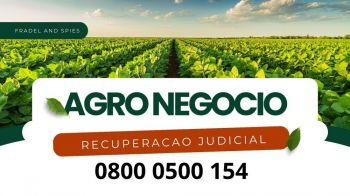 Recuperaçao judicial. Guia de empresas e serviços