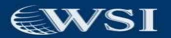 Wsi marketing na internet. Guia de empresas e serviços