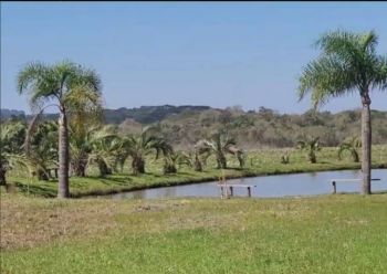 Área rural à venda  no Fragosos - Campo Alegre, SC. Imóveis