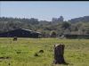 Área rural com 3 Dormitórios à venda, 500 m² por R$ 2.300.000,00