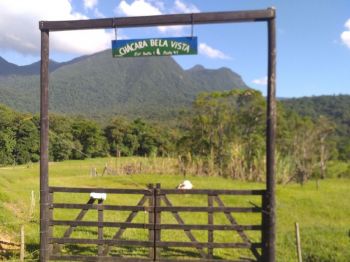 Imóvel rural à venda  no Vila Nova - Joinville, SC. Imóveis