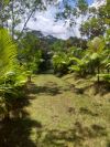 Imóvel rural à venda, 60 m² por R$ 1.200.000,00