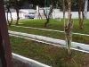 Terreno/Lote à venda, 434 m² por R$ 600.000,00