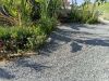 Terreno/Lote à venda, 72 m² por R$ 120.000,00