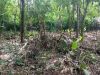 Terreno/Lote à venda, 318 m² por R$ 220.000,00