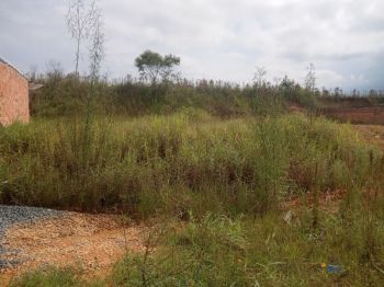 Terreno/Lote  venda  no Itinga - Araquari, SC. Imveis