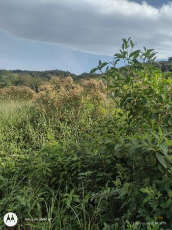 Terreno/Lote à venda  no Mina Velha - Garuva, SC. Imóveis
