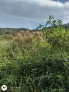 Terreno/Lote à venda, 1.200 m² por R$ 100.000,00