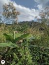 Terreno/Lote à venda, 1.200 m² por R$ 100.000,00