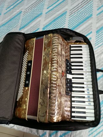Vendo gaita 120 baixos. Músicas e hobbies